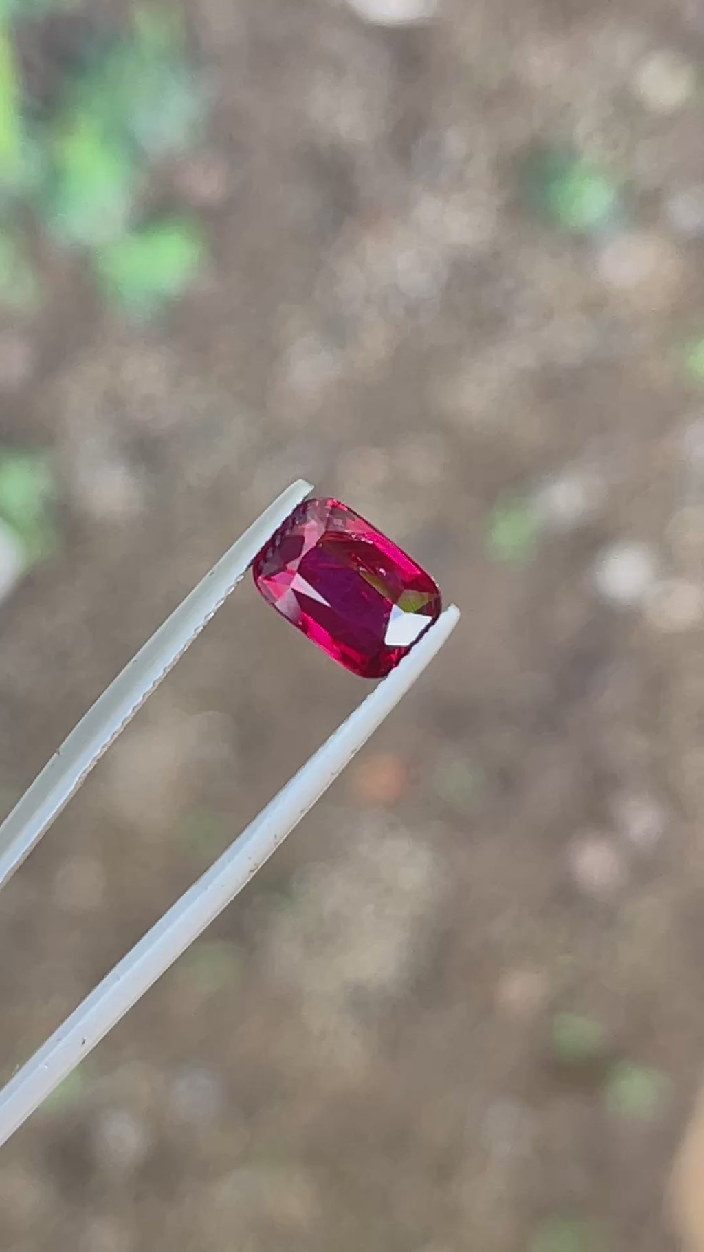 Video of Natural Ruby Cushion 2.55 ct – Vivid Red, No Heat